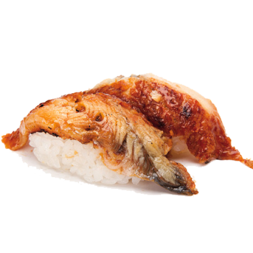 Nigiri anguila
